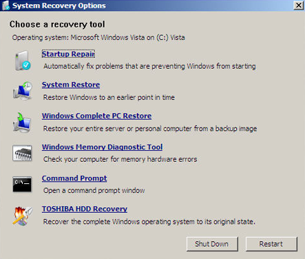 Toshiba HDD Recovery Item