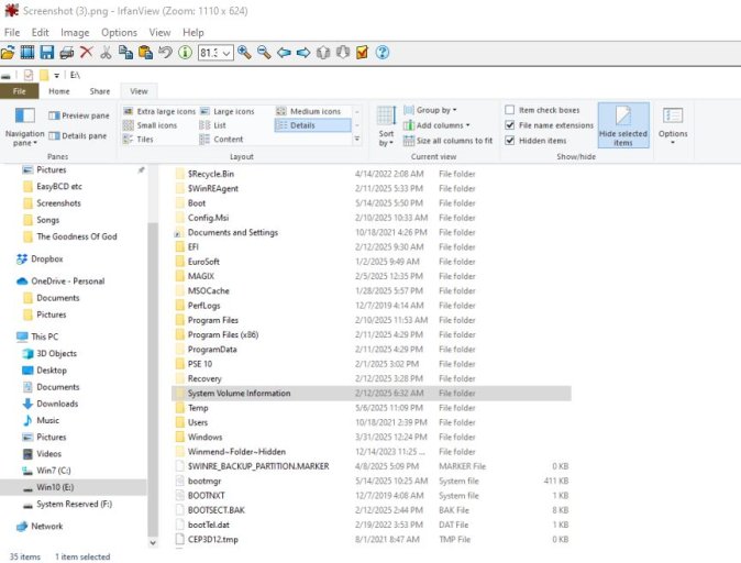 Win 10 E details.JPG