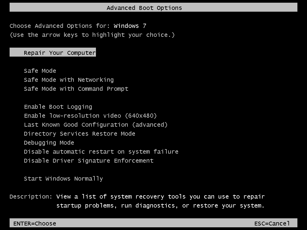 Accessing the Advanced Boot Options menu