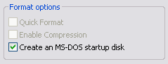 Create MS-DOS startup disk option